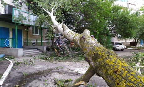 Як у Волноваському районі ліквідували наслідки буревію. Фото