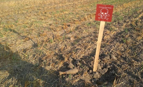 У селі Домашлин на Корюківщині на футбольному полі знайшли міну і снаряд