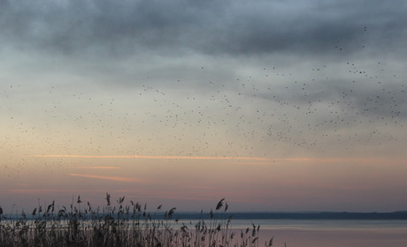 Топ 5 краєвидів з річки Вовчої