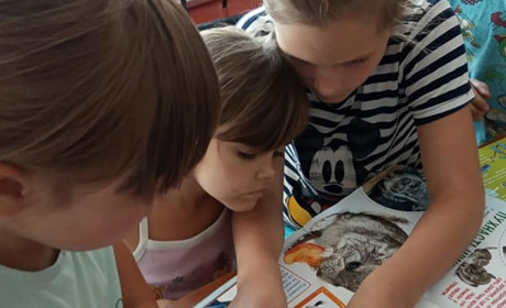 Влітку маленькі аношкінці залюбки проводять час у бібліотеці