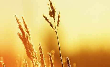 Погода у Старокостянтинові з 12 по 18 серпня: чого очікувати від тижня