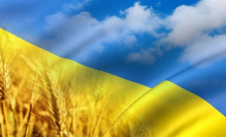 Фестиваль, покладання квітів, концерт, турнір: що чекає сірогозців на День Незалежності України 