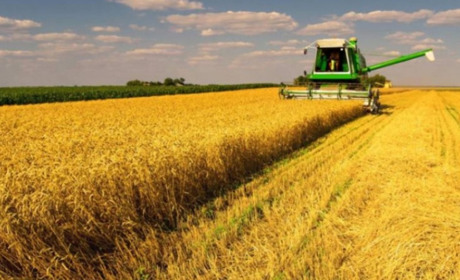 Новини міста за 12-18 серпня: зернові зібрали, мелясу виготовили, на авіашоу полетіли