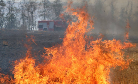 У Волноваському районі ліквідували масштабну пожежу. Фото