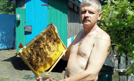 Як обрати якісний мед? Поради менського пасічника