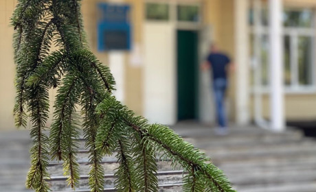 Чому поліцейські перевіряють сільські та селищні ради Волноваського району  на наявність вибухівок 