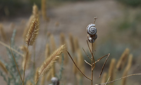 Погода у Старокостянтинові з 19 по 25 серпня: спека повертається