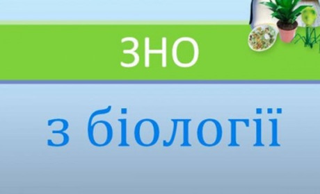 Результати ЗНО учнів Калущини: біологія та хімія