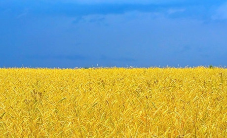 День Незалежності України в Мені. Наживо
