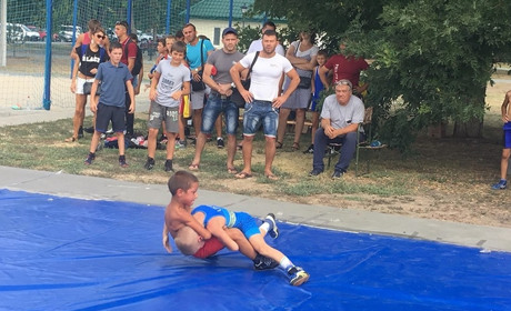 На берегу Дуная соревновались юные борцы