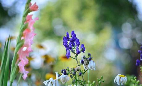 Погода у Старокостянтинові з 27 серпня по 1 вересня: яким буде останній тиждень літа