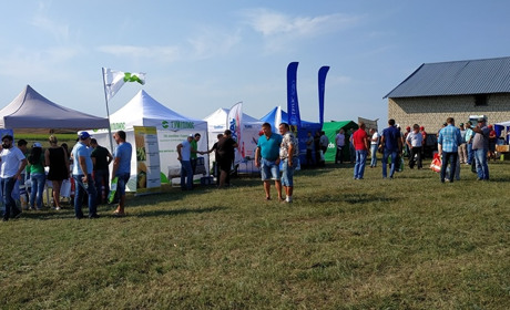 Більше ста п'ятдесяти гібридів соняшника та кукурудзи презентували на троїцьких ланах 