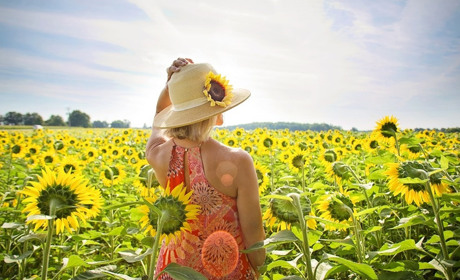 Куди піти у Старокостянтинові і Хмельницькому з 29 серпня по 5 вересня. Найближчі події тижня