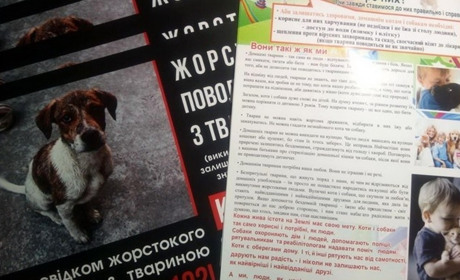 У Вараші дитина нацькувала бездомного пса на кошеня і спостерігала за вбивством. Є свідки