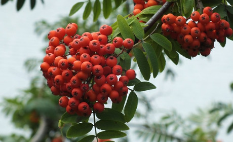 Погода у Старокостянтинові з 2 по 8 вересня: чого чекати у перші дні осені