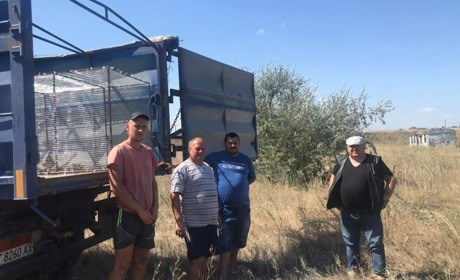 Сірогозькі фермери виростили і випустили в дику природу 100 фазанів