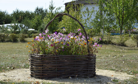 У Вівчаровому встановили креативні квітники у центрі села