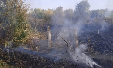 У Рудівці Сватівського району горіла суха трава. Пожежу погасили за 10 хвилин