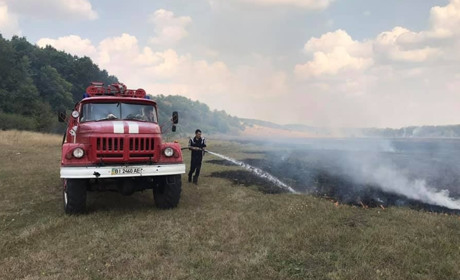 Палали луки під Плішивцем 