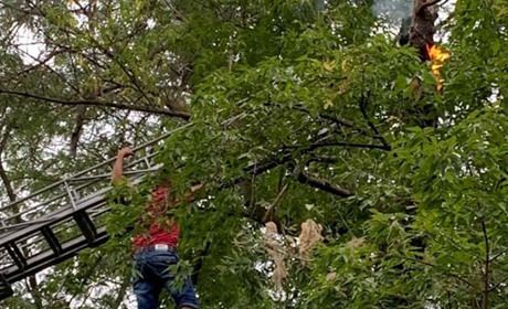 Повелитель бабочек: в Измаиле снимали мужчину с дерева