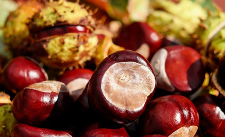 Погода у Старокостянтинові з 9 по 15 вересня: насолоджуємось "Бабиним літом"