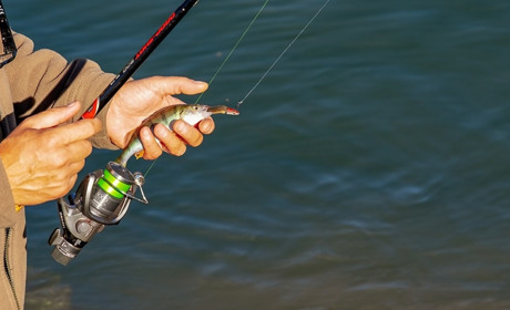 У День міста в Старокостянтинові проведуть конкурс на кращого рибалку