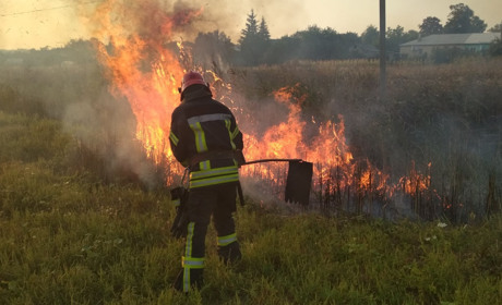 У Розсипному через пожежу мало не загорівся цвинтар