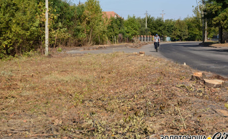 Хто і навіщо випиляв дерева й кущі у Золотоноші, на вулиці 23 Вересня?
