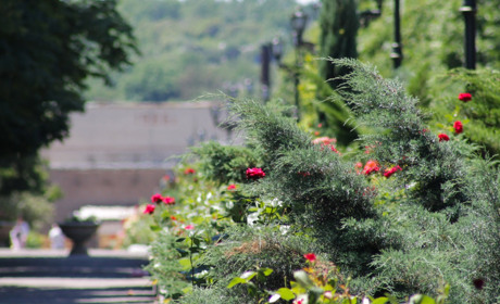 Сіті-пазли: збираймо разом улюблені місця у Великому Добропіллі