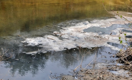 Вода з Хомори найбільше забруднена хімічими сполуками