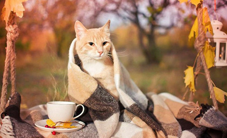 Лайфхак для добропільців: як не мерзнути восени