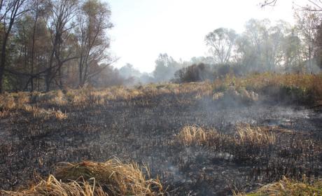 Протягом трьох тижнів у Білопіллі періодично загорається болото