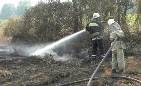 За п’ять днів на Корюківщині вигоріло 20 гектарів сухої трави