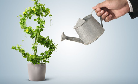 Чого не вистачає в Добропіллі для розвитку малого бізнесу - погляд місцевих підприємців