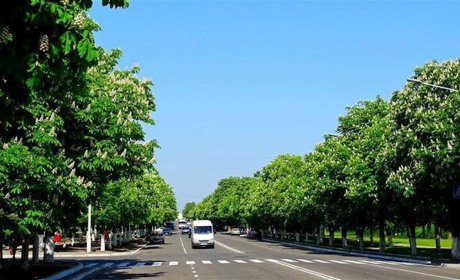 На День города городской транспорт будет работать дольше