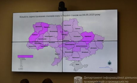 Із 1 жовтня у Гадяцькому районі проводитимуть додаткову імунізацію школярів проти кору