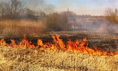 За останні десять днів у Торецьку сталося п`ять пожеж: що і де горіло?