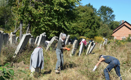 Волонтери з Німеччини впорядковували єврейський цвинтар у Кіцмані