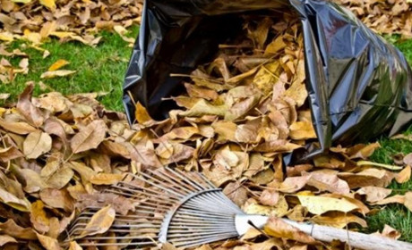 У Кагарлику будуть безкоштовно вивозити органічні рослинні відходи