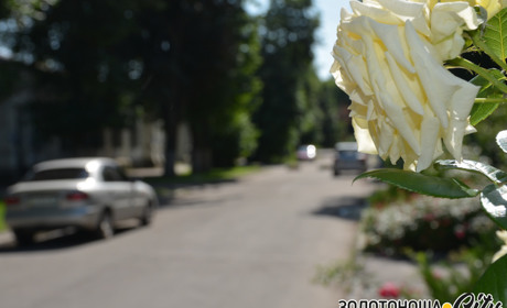 Результати метеоспостережень:  яким було літо-2019 у Золотоноші?