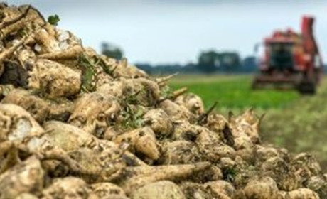 Новини міста 23-29 вересня: виставки, святкування, карантин та збирання врожаю