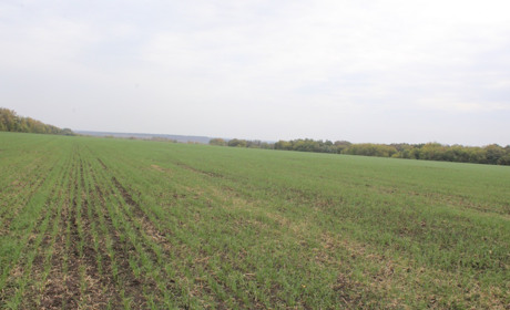 Опитування. Чи готові троїчани продавати чи купувати землю