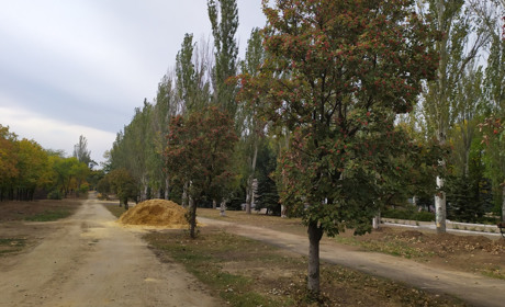 Склади пазл з фото парку «Ювілейний»