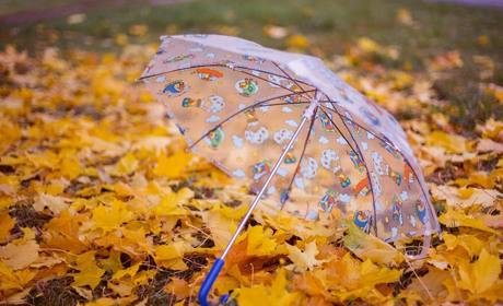 Тепло, але місцями дощі: синоптики дали прогноз на тиждень у Торецьку 