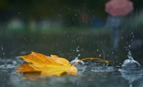 Погода у Гадячі: останній тиждень тепла