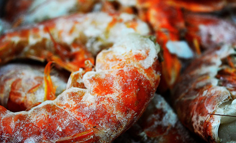 Королівські креветки та восьминоги: чим можна поласувати у "рибному світі" магазину Нептун