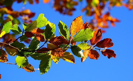 Сюрпризи жовтня: менше копійок, більше вихідних та початок опалювального сезону