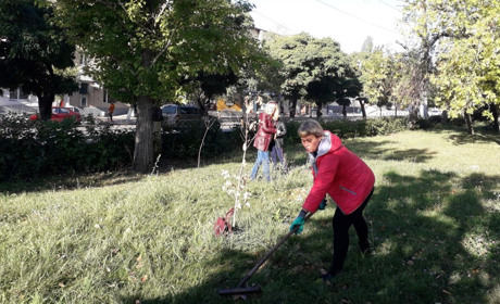 Можно ли заработать на общественных работах в Торецке