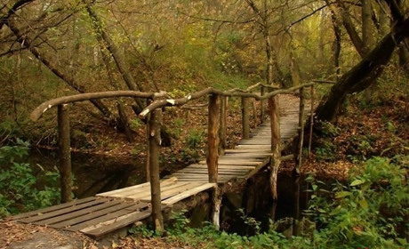 Білопільщина крізь фотооб’єктив Миколи Зарка