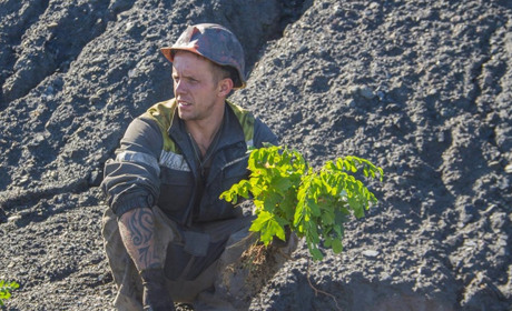 На добропільських териконах висадили 500 дерев